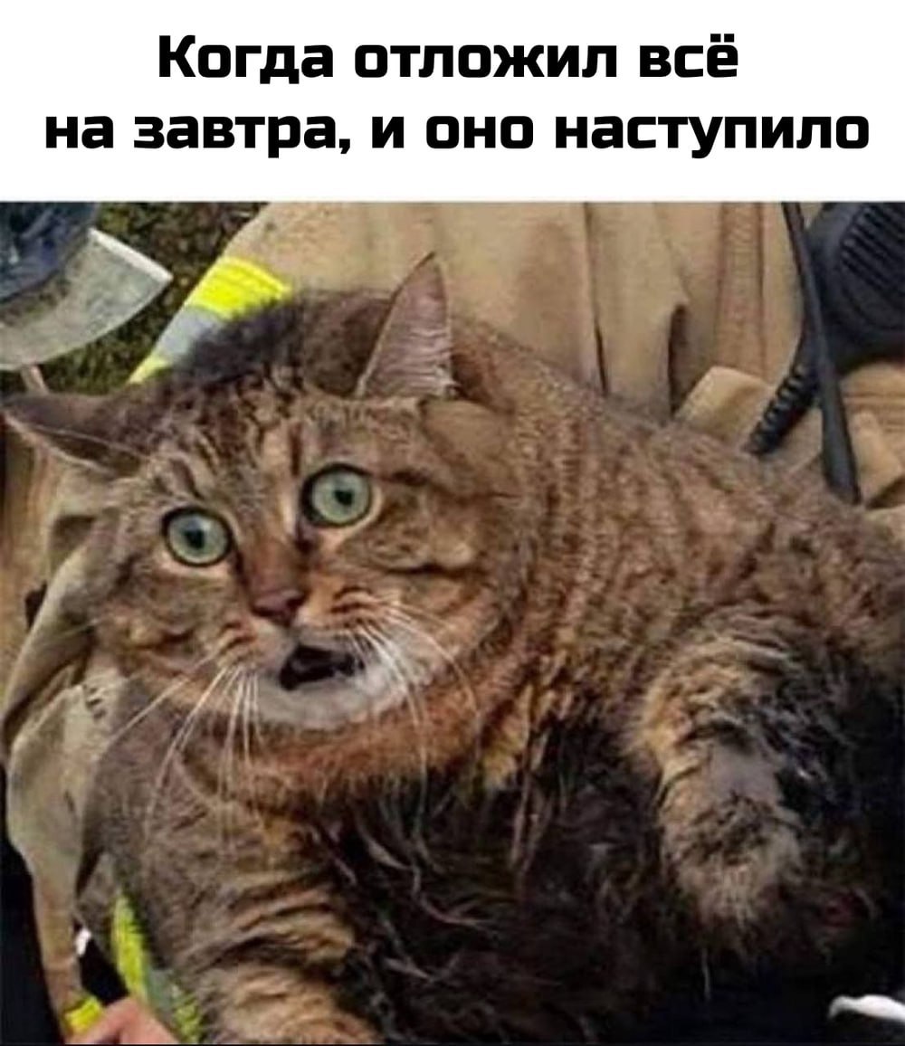 А вчера это казалось хорошим решением
🚀@itaxaxa | Сетка — социальная сеть от hh.ru