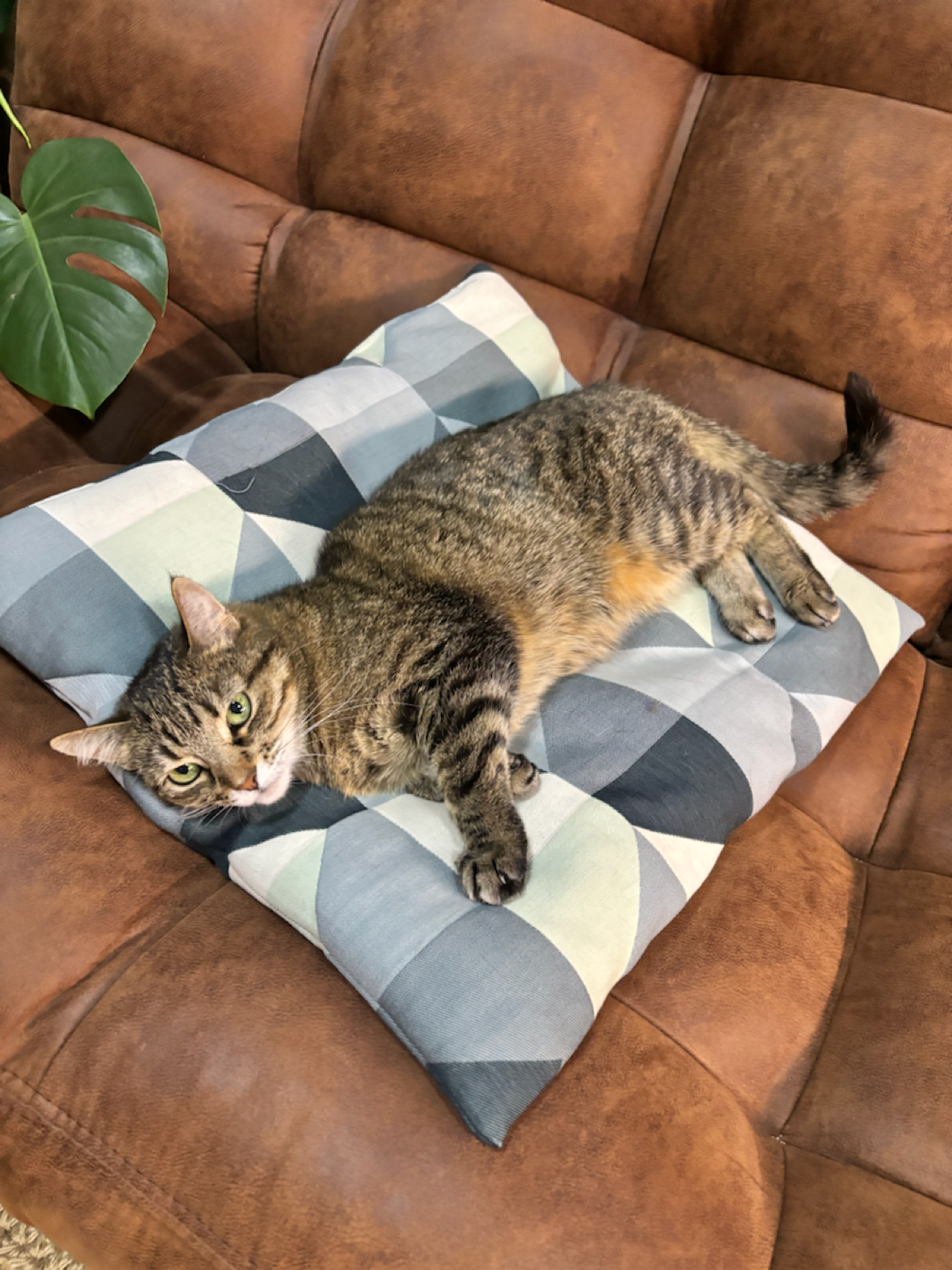 В новый год с новым сайтом | Сетка — социальная сеть от hh.ru