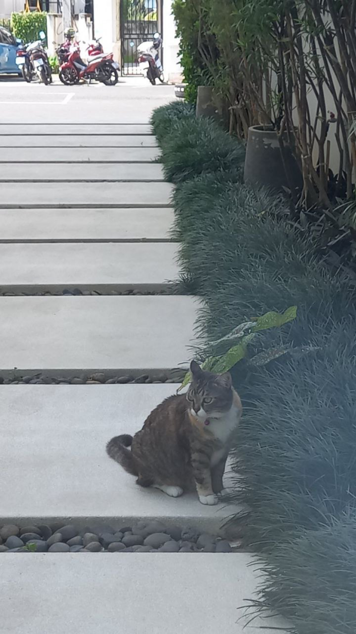 Пришло время ставить цели на 2025 год
Что я понял исходя из предыдущего года? Что я не выполнил все чего наставил, но почему? Причина как мне кажется находится в том, что я выбрал слишком много целей ... | Сетка — социальная сеть от hh.ru