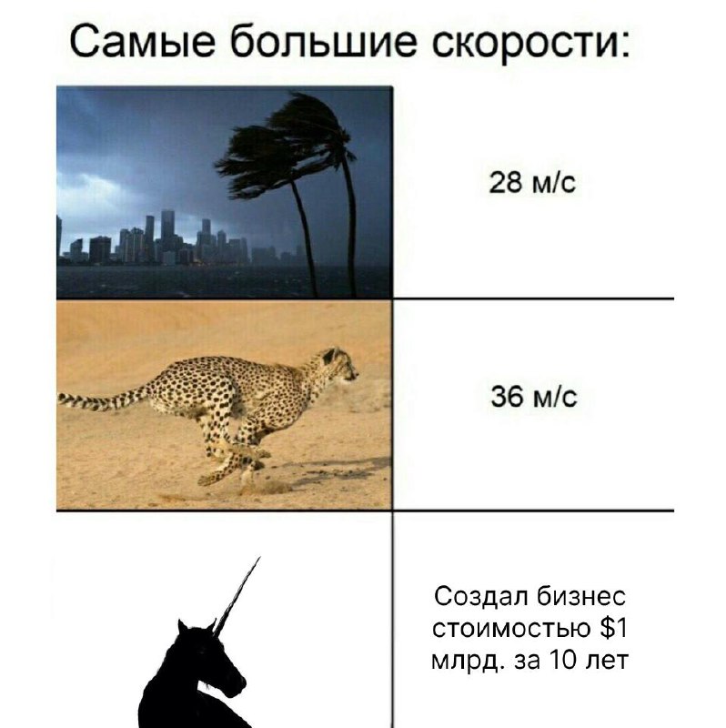 Мы про масштабирование через блогеров и маркетинг говорим, а что это вообще такое?
Знакомый недавно задал этот вопрос | Сетка — социальная сеть от hh.ru