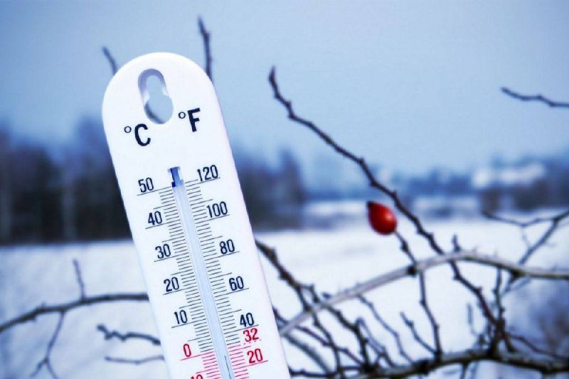 🌡Ставропольцев ожидает резкое похолодание на следующей неделе
Столбик термометра ночью опустится до -8…-3 градусов, днем температура будет немного выше 0 градусов | Сетка — социальная сеть от hh.ru