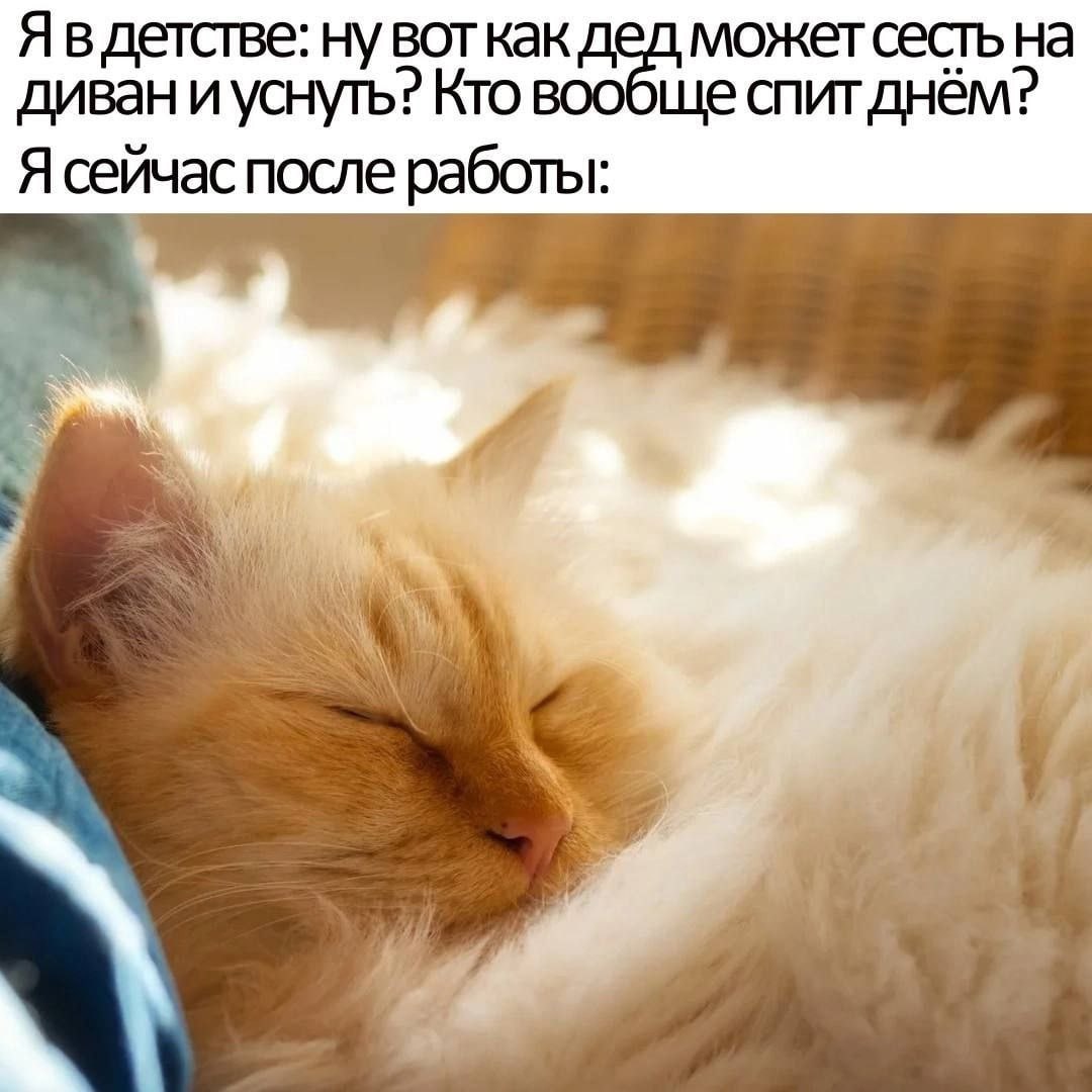 📊 KPI по мемам | Сетка — социальная сеть от hh.ru