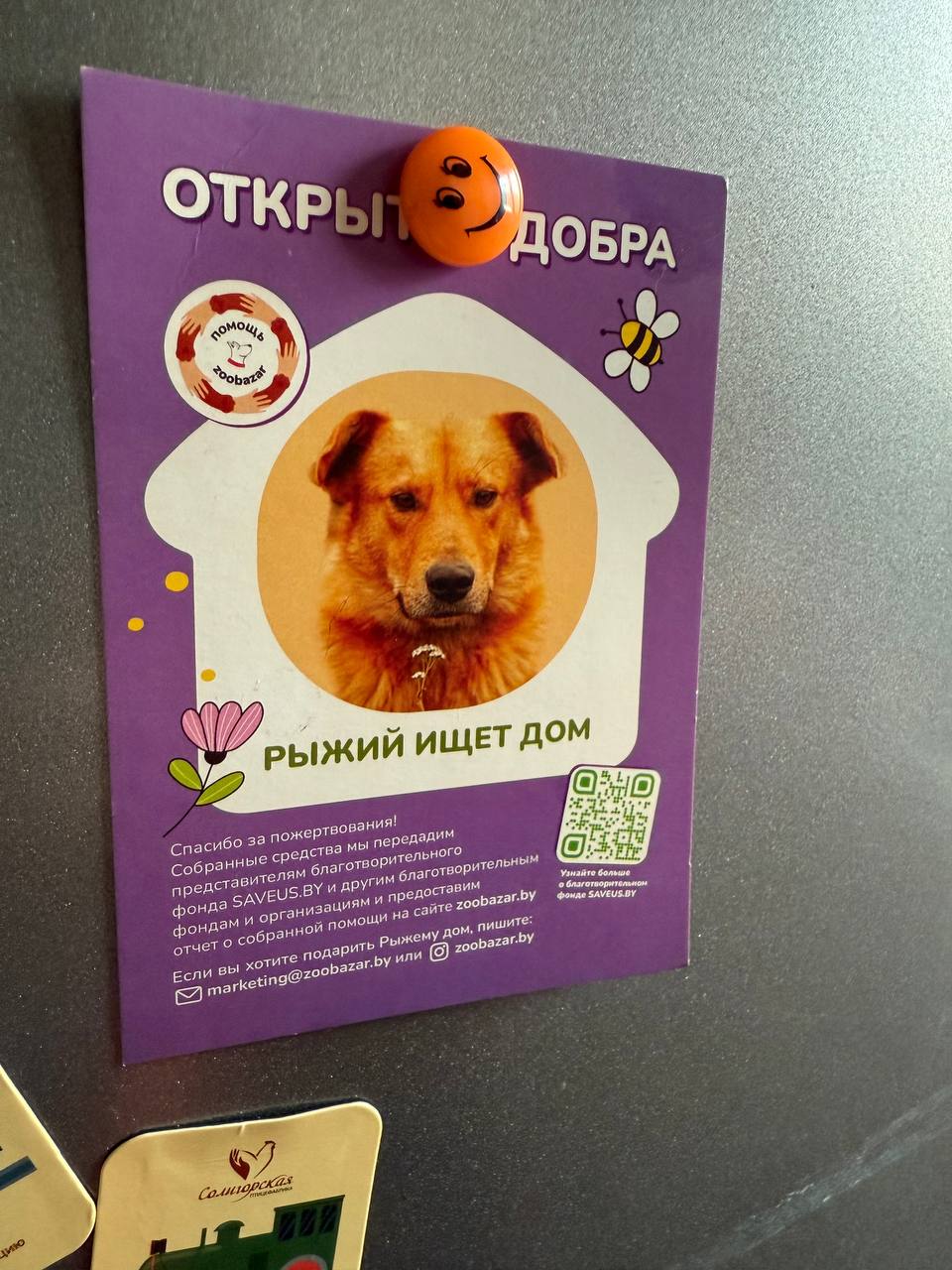 Неочевидные проблемы рекламных кампаний.
«Открытка добра» – совместная с зоомагазином благотворительная кампания, которая помогала бездомным животным. Лечила, кормила и так далее.
За 1 рубль = $0 | Сетка — социальная сеть от hh.ru