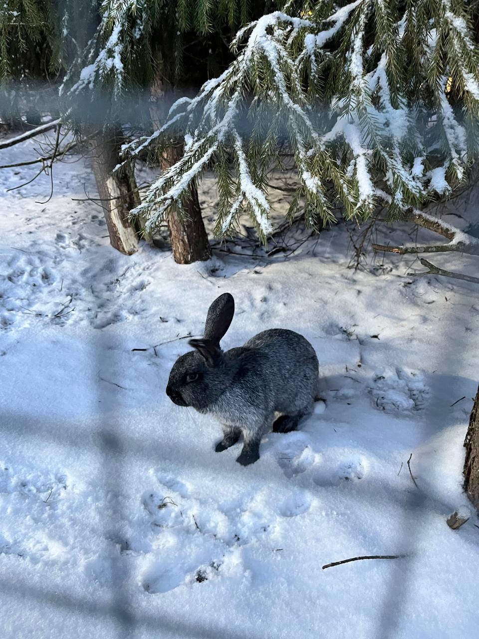 Ну что….мы оттопырились по полной программе | Сетка — социальная сеть от hh.ru