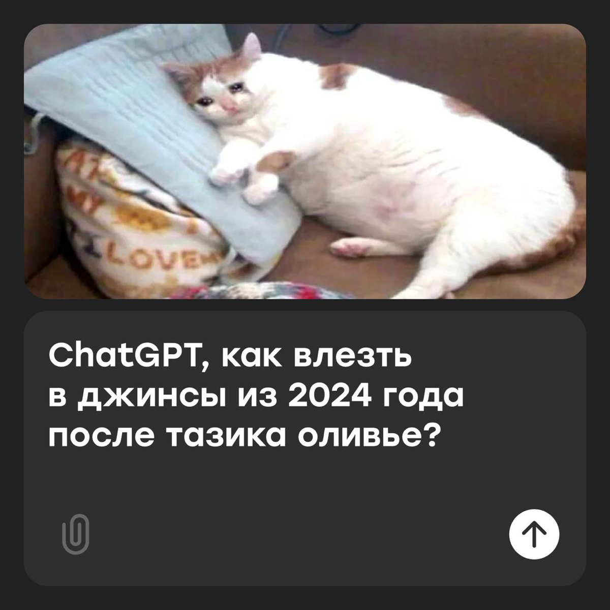 ChatGPT, как влезть в джинсы после тазика оливье? | Сетка — социальная сеть от hh.ru