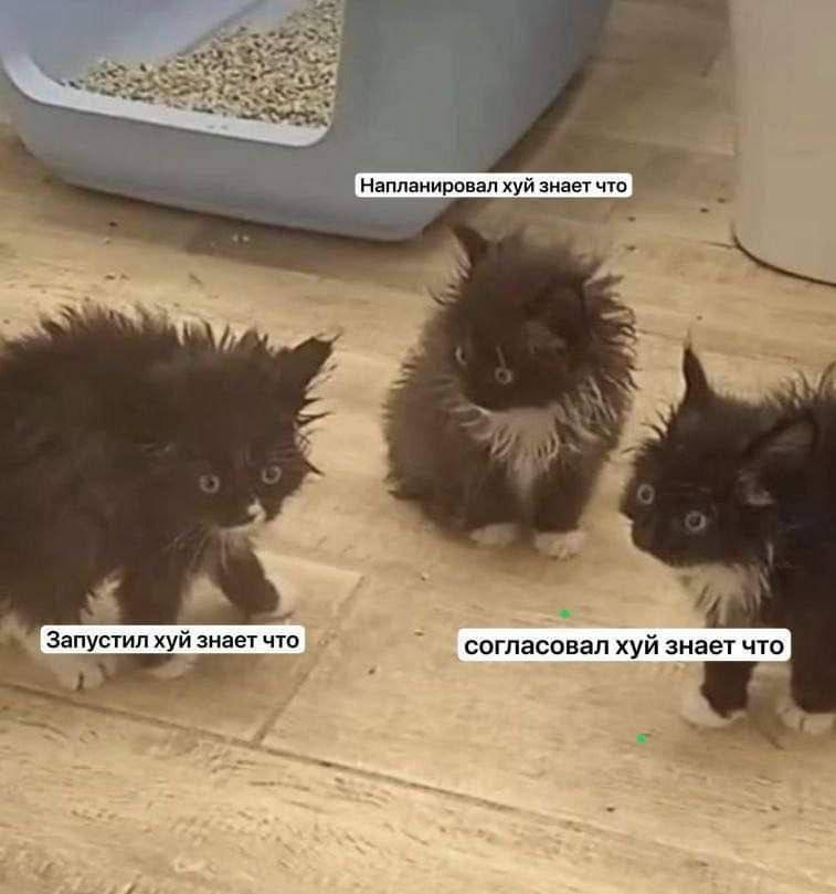 Когда смотришь на фичи после праздников😁 | Сетка — социальная сеть от hh.ru