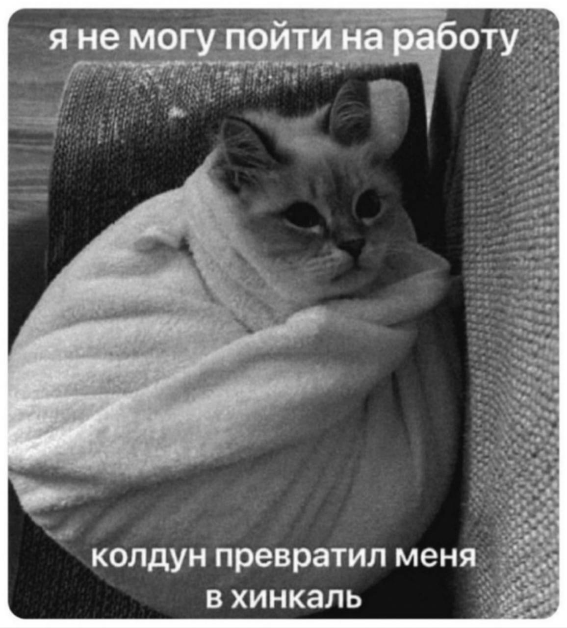 Все отписываются и отписываются...
🙂💥💥
наверное, надо что-то публиковать? 🤔
Вот вам мемчик, честно украденный из рабочего чата
Легкой недели, алмазные мои 💎 | Сетка — социальная сеть от hh.ru