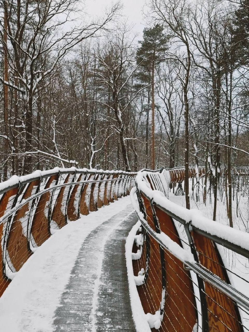 ❄️Топ-5 экотроп в пределах МКАД
Бесплатные экомаршруты в черте города, где можно насладиться прогулкой
🌱Воздушная тропа
📍ВДНХ
🌱В гармонии с природой
📍Серебряный Бор
🌱На террасах Воробьевых гор
📍Воробь... | Сетка — социальная сеть от hh.ru