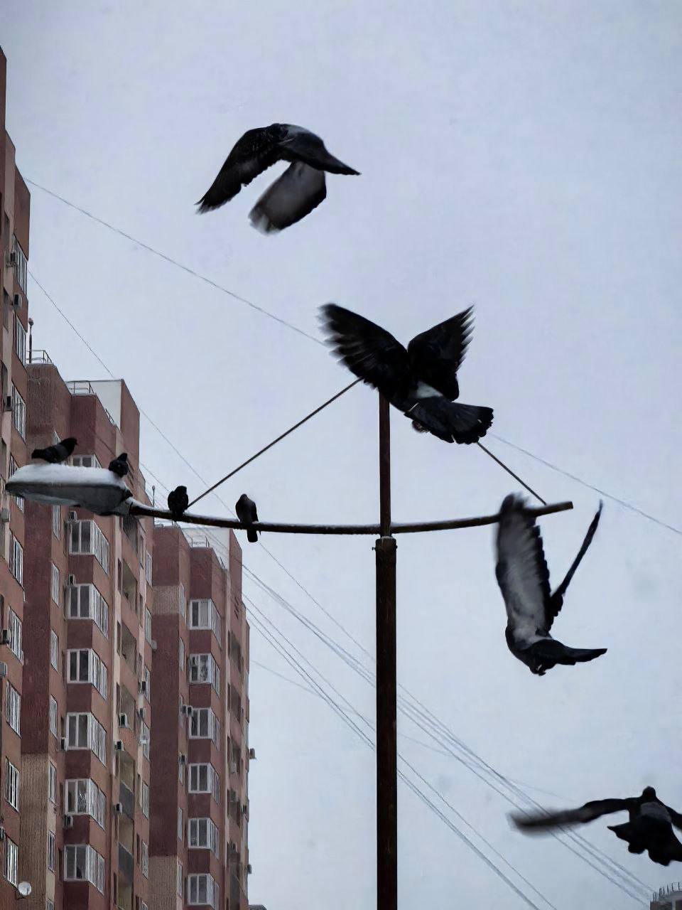 Снежное утро в Ставрополе
📸 @zarisovki26ru
@stavropolyevibe | Сетка — социальная сеть от hh.ru