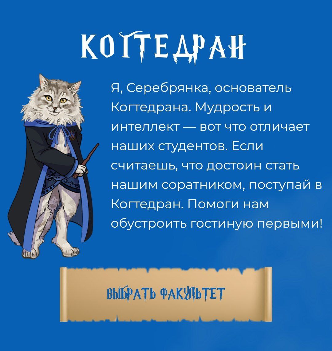 🧙‍♀ Есть тут настоящие волшебники?🪄
Благотворительный фонд «Рука помощи бездомным животным» открыл Котгвартс — первую школу волшебства для хвостатых студентов | Сетка — социальная сеть от hh.ru