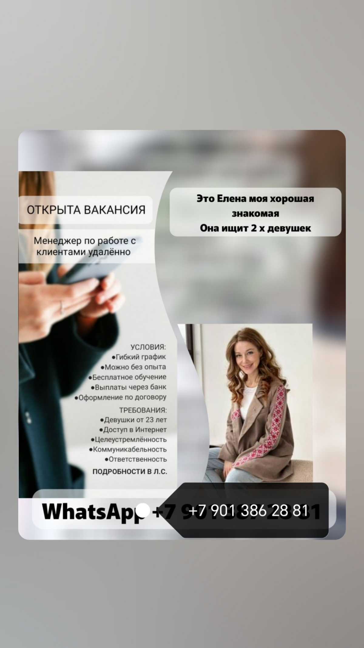 Я предприниматель в активном развитии, ищу людей, которые так же как и я, хотят большего от жизни.... Зарабатывать и поднимать свой финансовый уровень | Сетка — социальная сеть от hh.ru