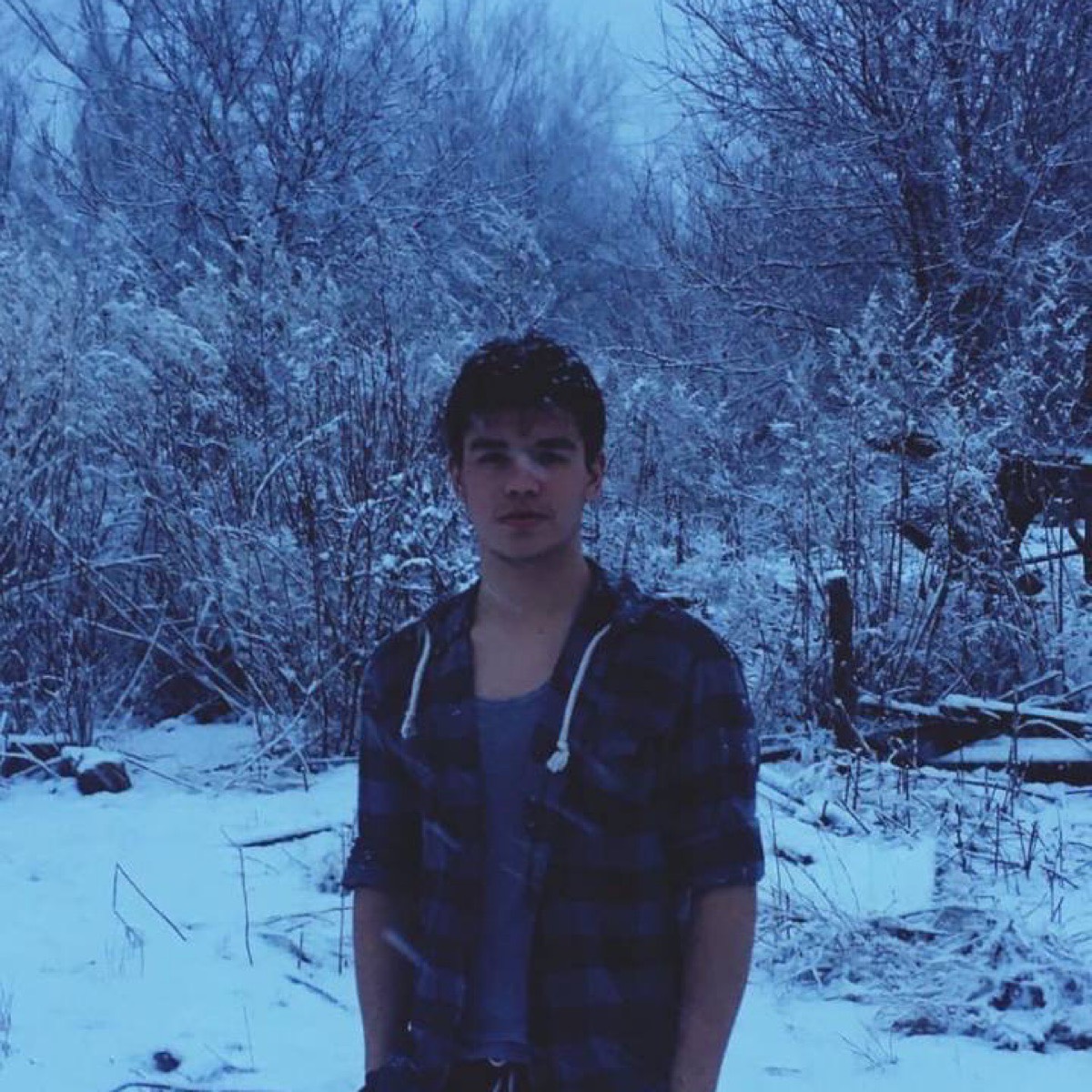 Владимир Щеголихин