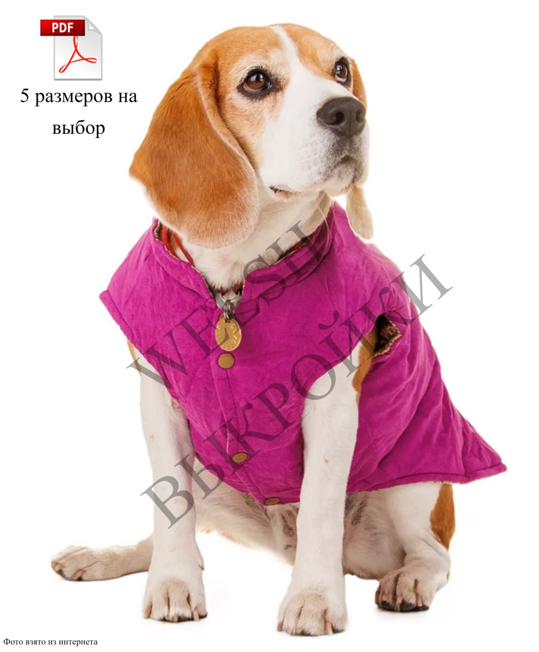 Выкройка АНТИСТРЕССОВОГО ЖИЛЕТА для мелких и средних пород собак 🐶 | Сетка — социальная сеть от hh.ru