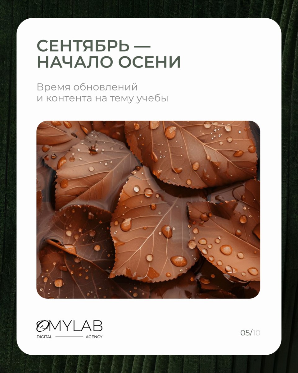 В мире маркетинга нет мелочей, и каждая дата — это возможность для вовлечения и продаж | Сетка — социальная сеть от hh.ru