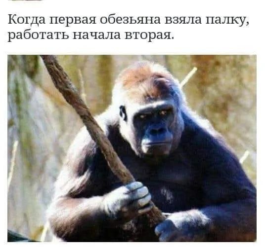 Всё что вам нужно знать и стимулировании и мотивации. | Сетка — социальная сеть от hh.ru
