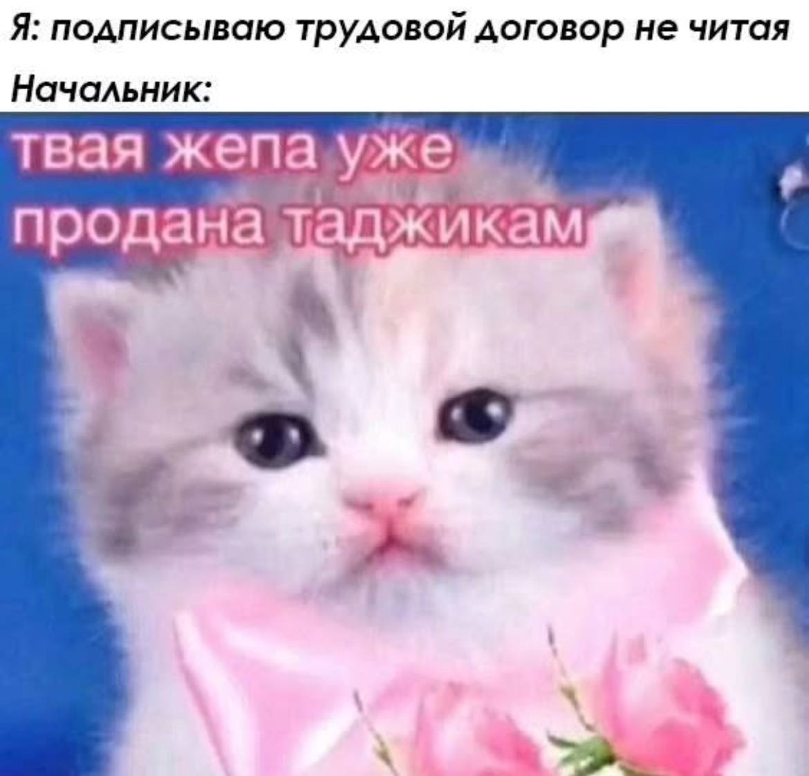 📊 KPI по мемам | Сетка — социальная сеть от hh.ru