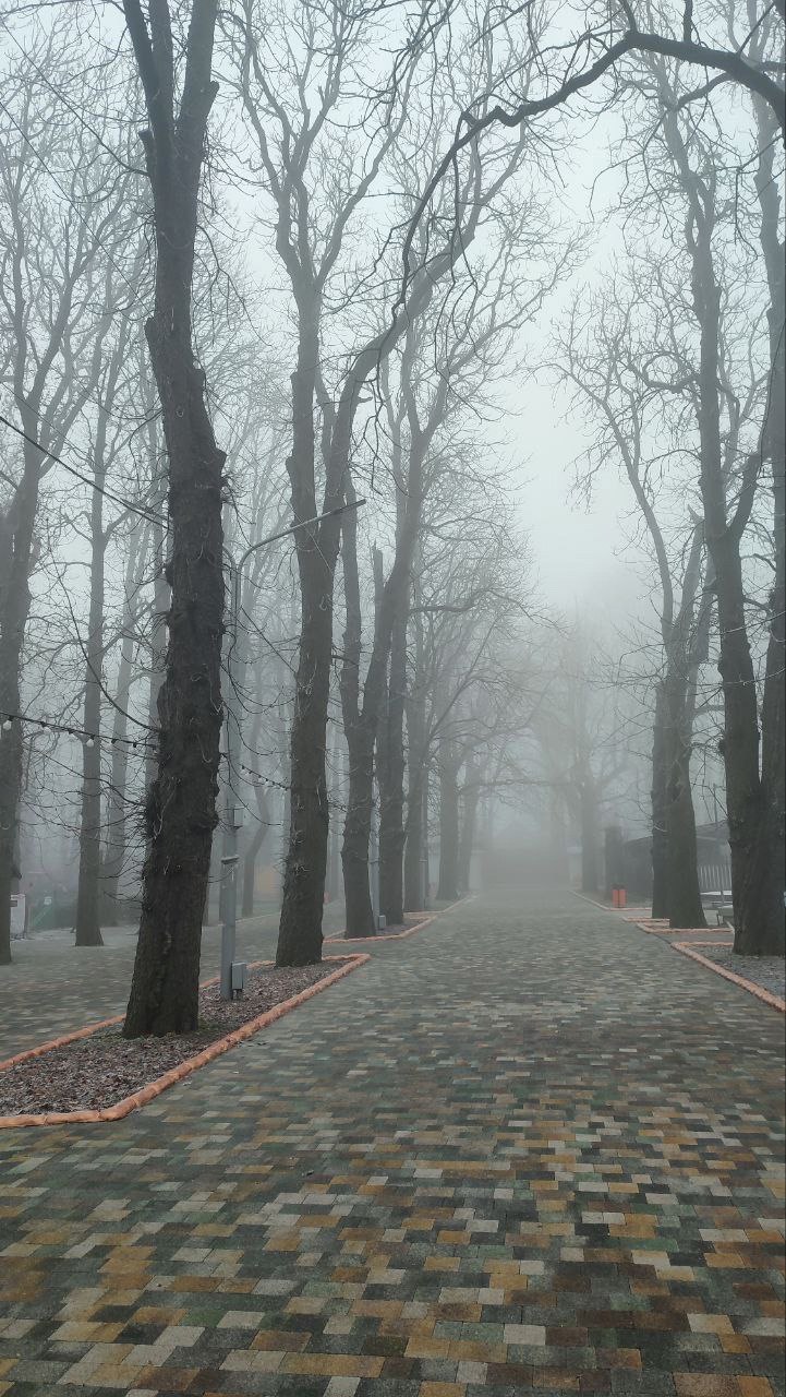 Центральный парк, окутанный снегом
@stavropolyevibe | Сетка — социальная сеть от hh.ru