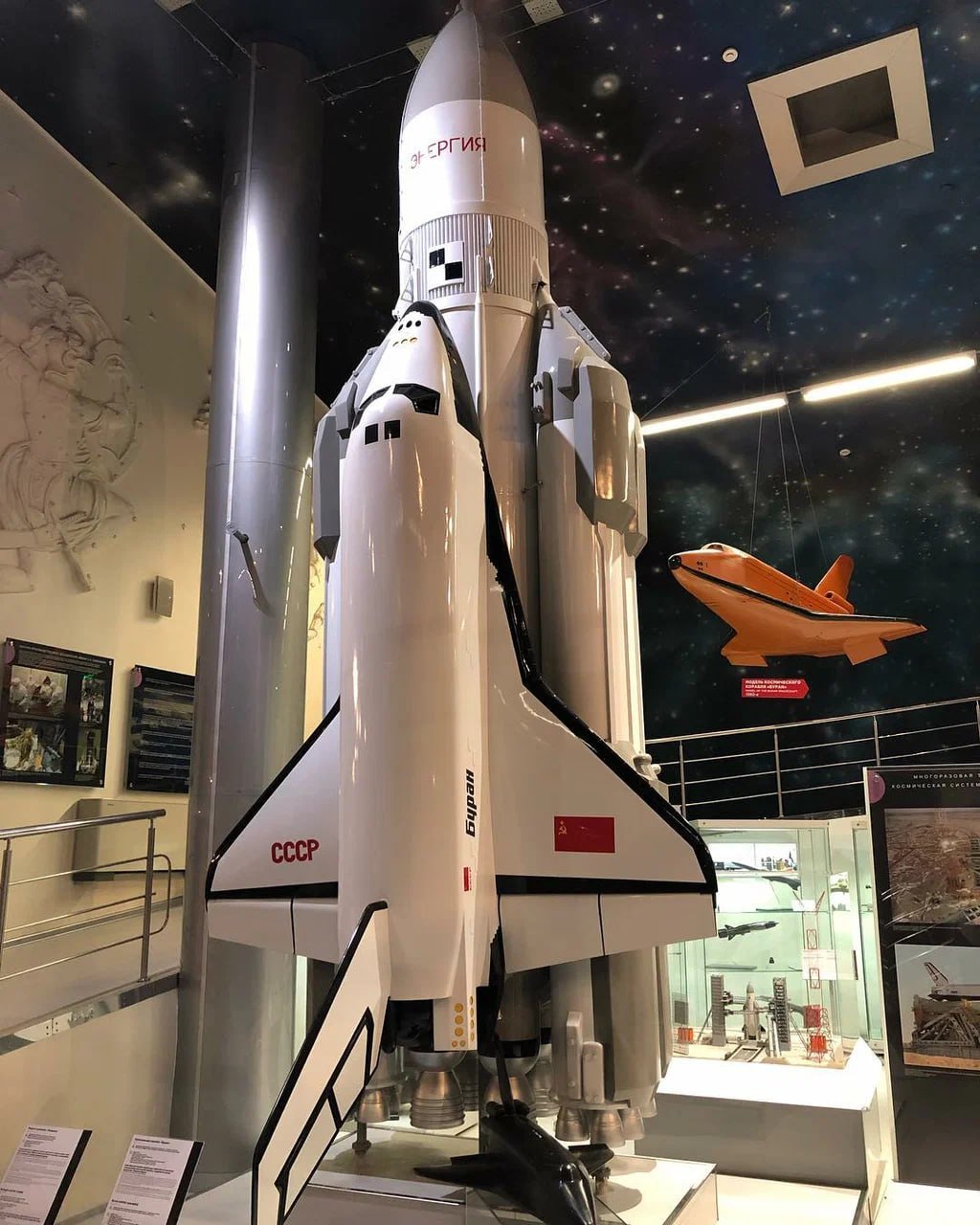 Продолжается Московская музейная неделя🏛
До 19 января
16 января можно бесплатно посетить:
▪️Государственный биологический музей имени К.А | Сетка — социальная сеть от hh.ru