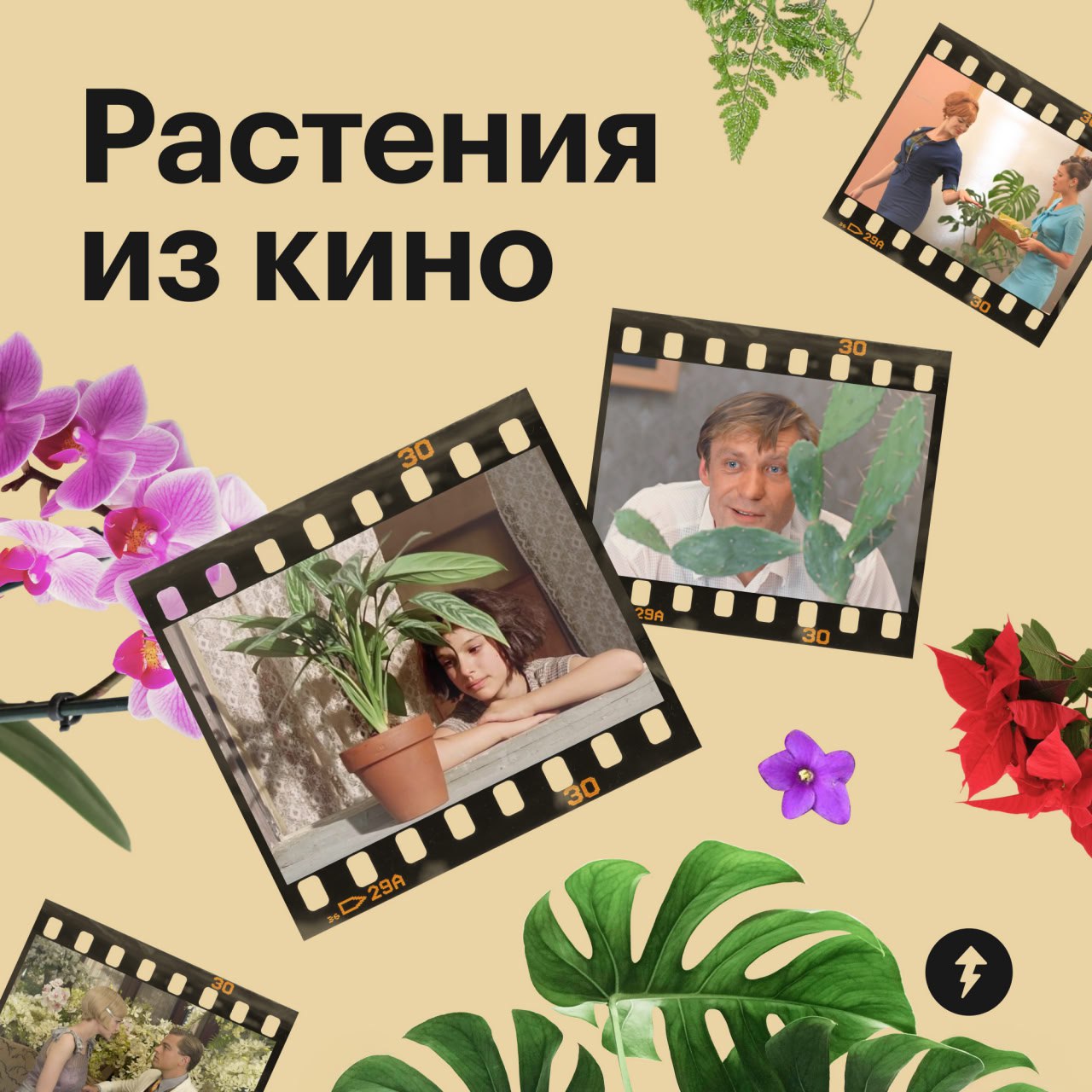 🎄 пост сдала
🪴 пост принял
Праздники отгуляли — пора приближать весну. Для этого предлагаем озеленить квартиру цветами, которые встречаются в ваших любимых фильмах | Сетка — социальная сеть от hh.ru