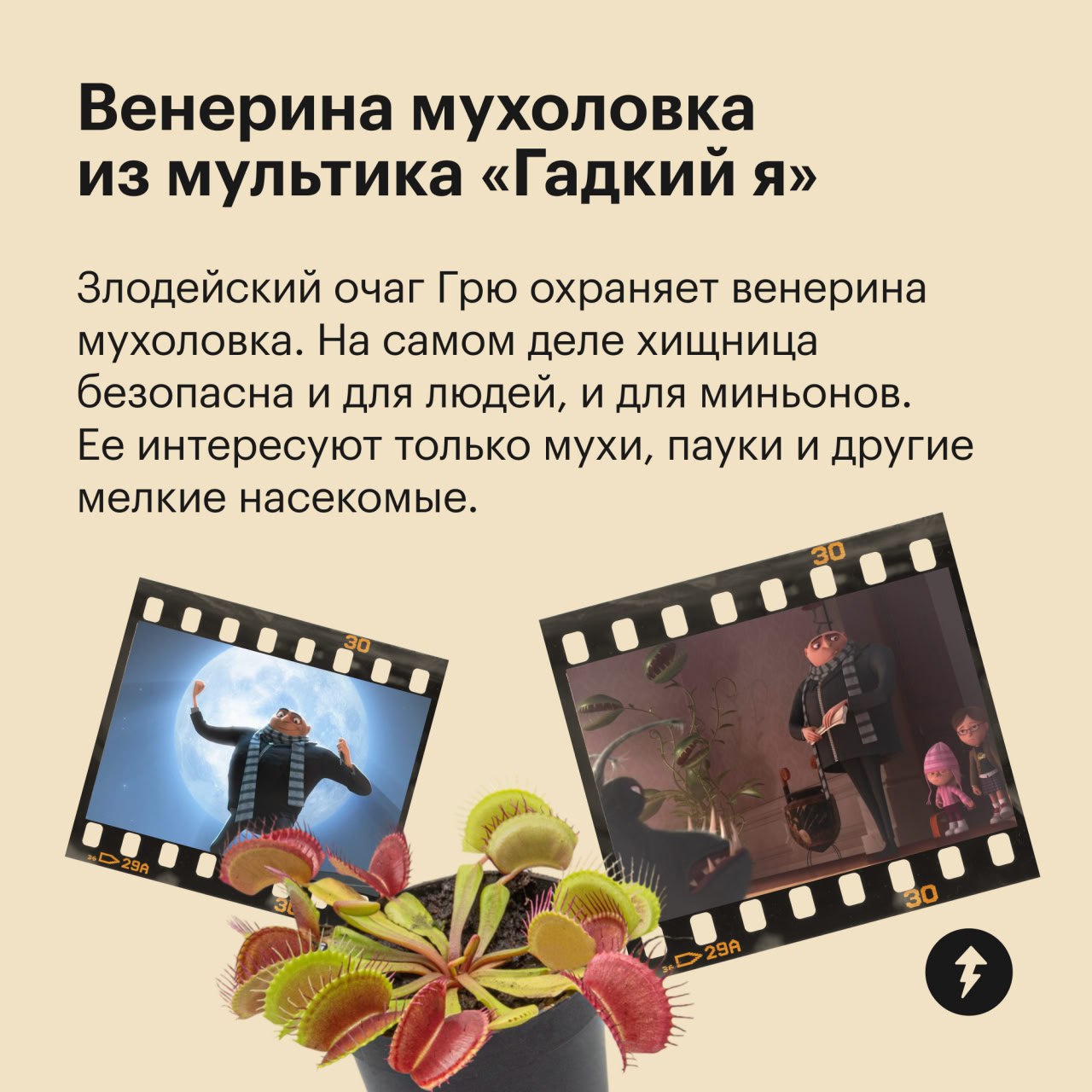 🎄 пост сдала
🪴 пост принял
Праздники отгуляли — пора приближать весну. Для этого предлагаем озеленить квартиру цветами, которые встречаются в ваших любимых фильмах | Сетка — социальная сеть от hh.ru