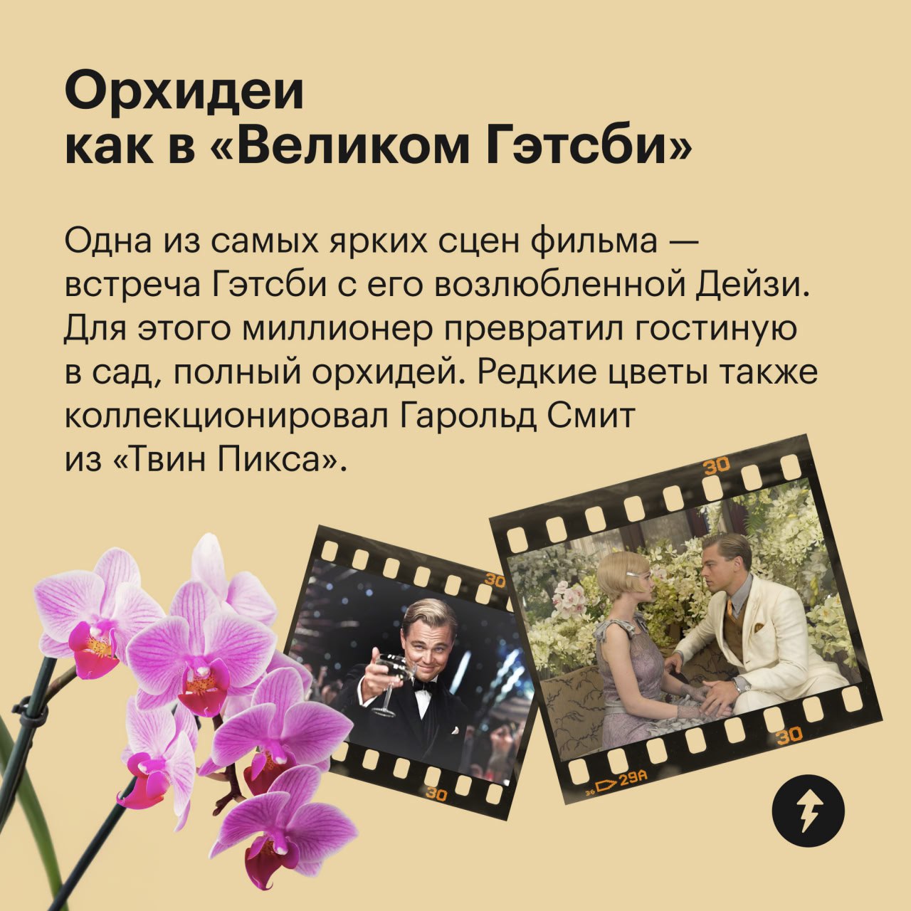 🎄 пост сдала
🪴 пост принял
Праздники отгуляли — пора приближать весну. Для этого предлагаем озеленить квартиру цветами, которые встречаются в ваших любимых фильмах | Сетка — социальная сеть от hh.ru