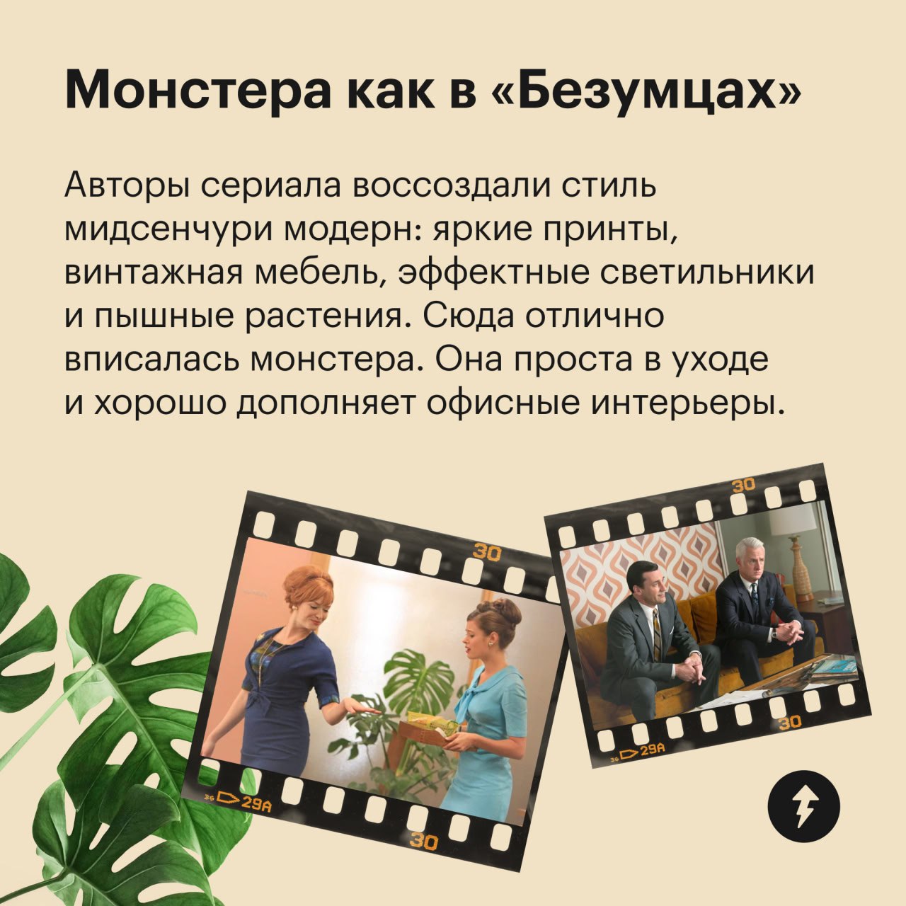 🎄 пост сдала
🪴 пост принял
Праздники отгуляли — пора приближать весну. Для этого предлагаем озеленить квартиру цветами, которые встречаются в ваших любимых фильмах | Сетка — социальная сеть от hh.ru