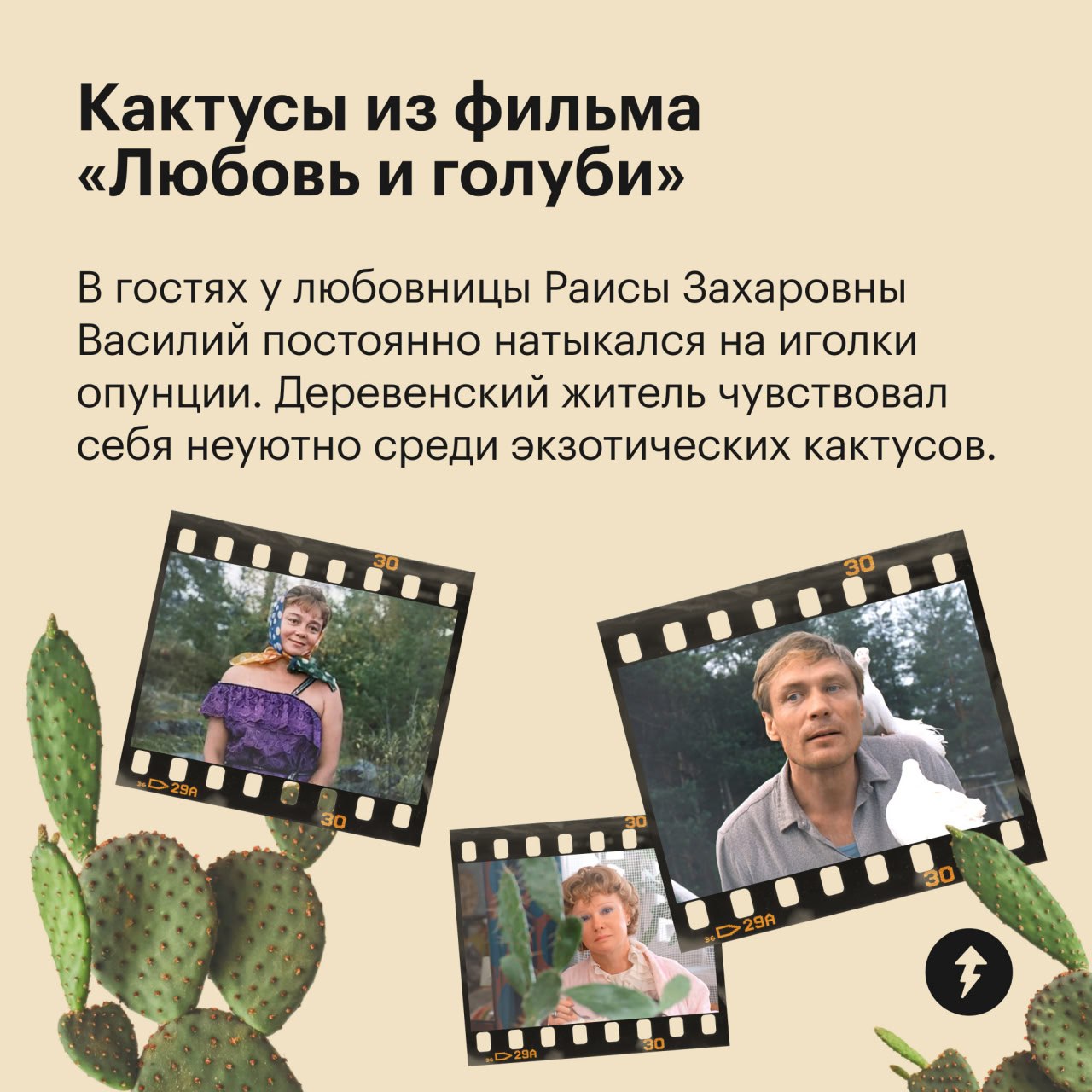 🎄 пост сдала
🪴 пост принял
Праздники отгуляли — пора приближать весну. Для этого предлагаем озеленить квартиру цветами, которые встречаются в ваших любимых фильмах | Сетка — социальная сеть от hh.ru
