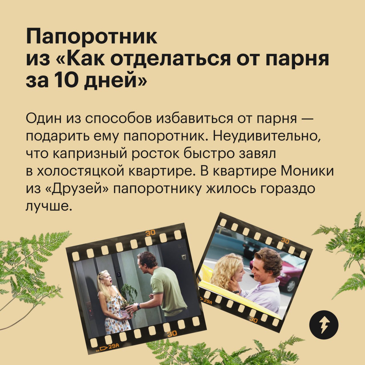 🎄 пост сдала
🪴 пост принял
Праздники отгуляли — пора приближать весну. Для этого предлагаем озеленить квартиру цветами, которые встречаются в ваших любимых фильмах | Сетка — социальная сеть от hh.ru