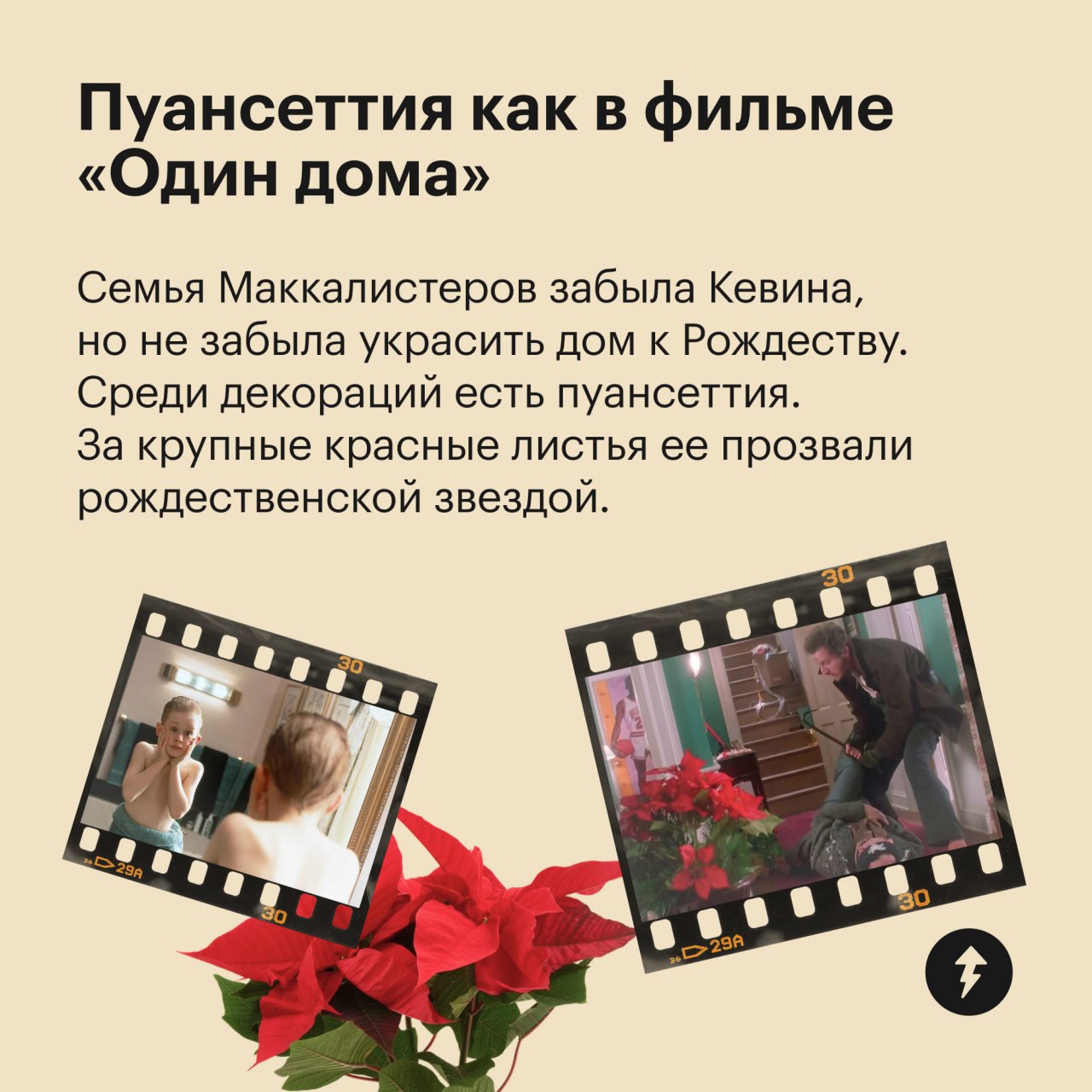 🎄 пост сдала
🪴 пост принял
Праздники отгуляли — пора приближать весну. Для этого предлагаем озеленить квартиру цветами, которые встречаются в ваших любимых фильмах | Сетка — социальная сеть от hh.ru