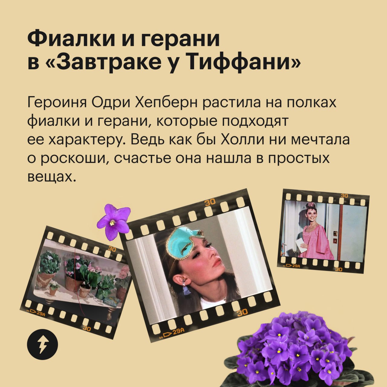 🎄 пост сдала
🪴 пост принял
Праздники отгуляли — пора приближать весну. Для этого предлагаем озеленить квартиру цветами, которые встречаются в ваших любимых фильмах | Сетка — социальная сеть от hh.ru