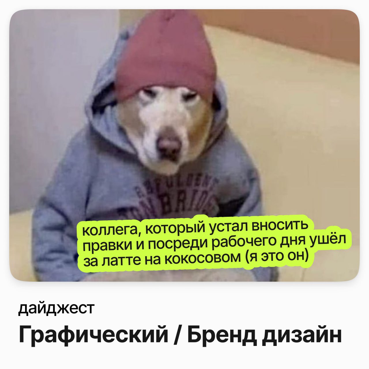 🐤 #дайджестcareerspace #дизайнcareerspace
Графический дизайнер / Aero
Зарплата: от 90 000 ₽ /на руки
Подробнее
Младший графический дизайнер / Present & Simple
Зарплата: до 90 000 ₽ /на руки
Подробнее
... | Сетка — социальная сеть от hh.ru