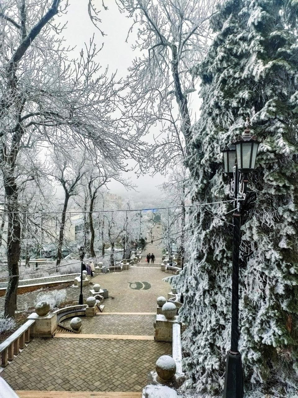 Ставропольская зима в этом году особенно приятная! ❄️
📸 Ирина С.
@stavropolyevibe | Сетка — социальная сеть от hh.ru