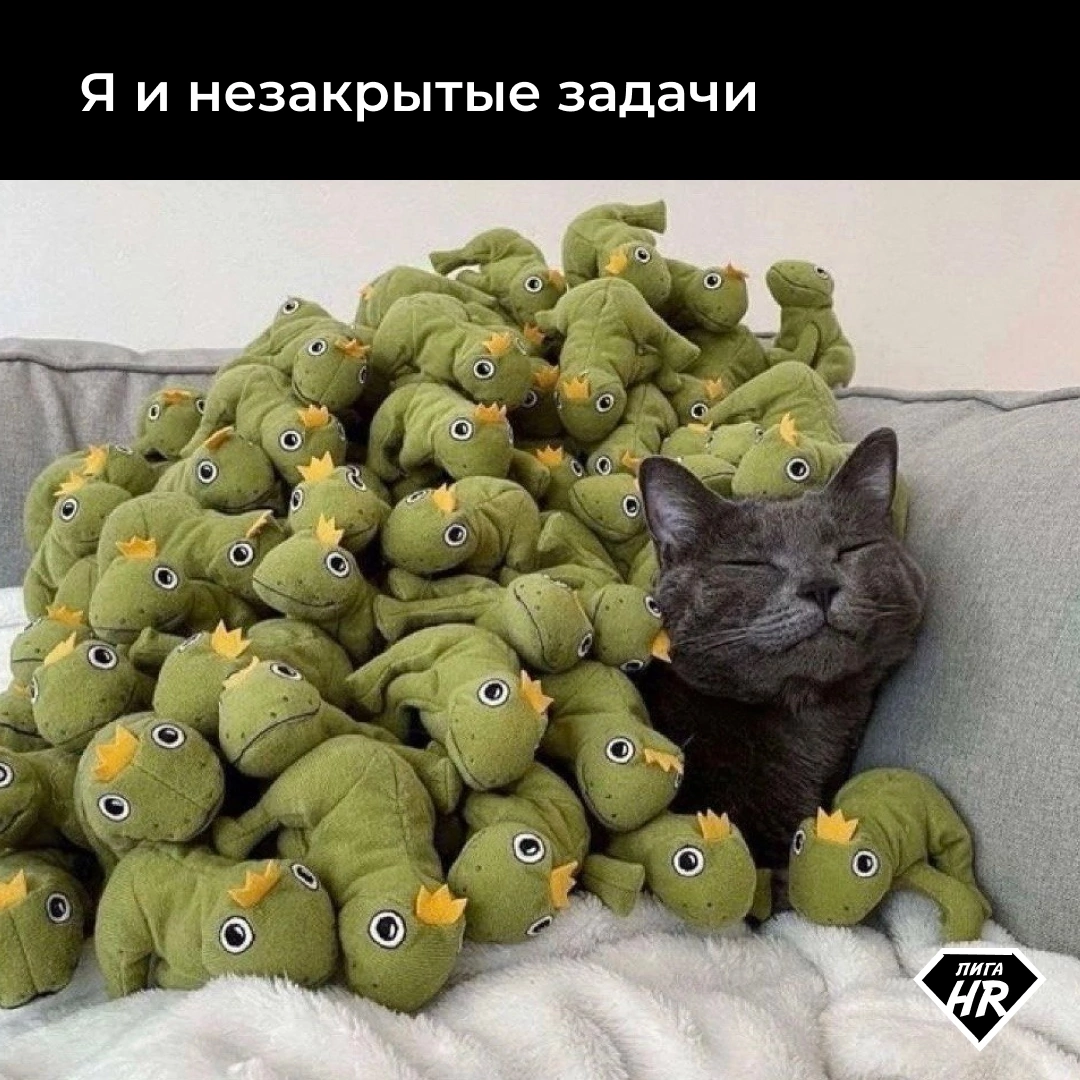 Сетка — социальная сеть от hh.ru
