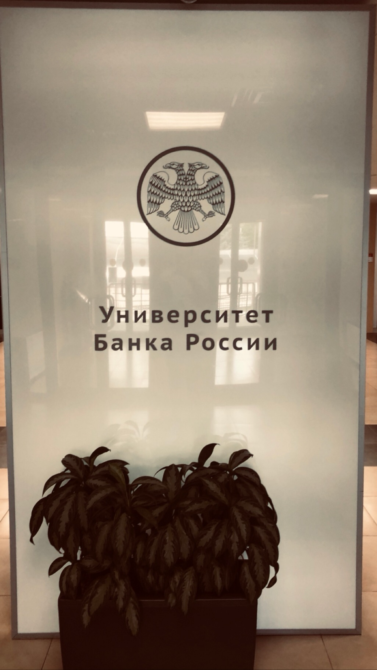 На сколько я помню курсы были бесплатные, но почему это не выносят в массы? https://t.me/Kokarevdok | Сетка — социальная сеть от hh.ru