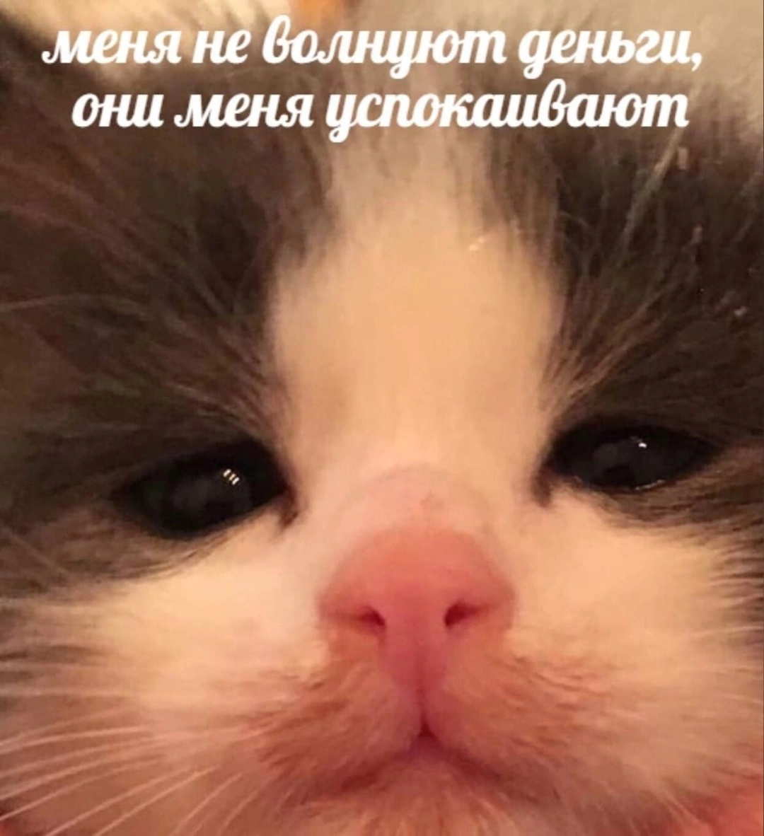 Высокая зарплата или зарплата+печеньки ? | Сетка — социальная сеть от hh.ru