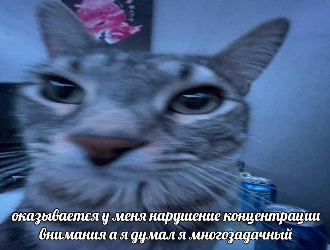 То-то я думаю, чё яни одну задачу до конца не доделываю 🐱
🚀@itaxaxa | Сетка — социальная сеть от hh.ru