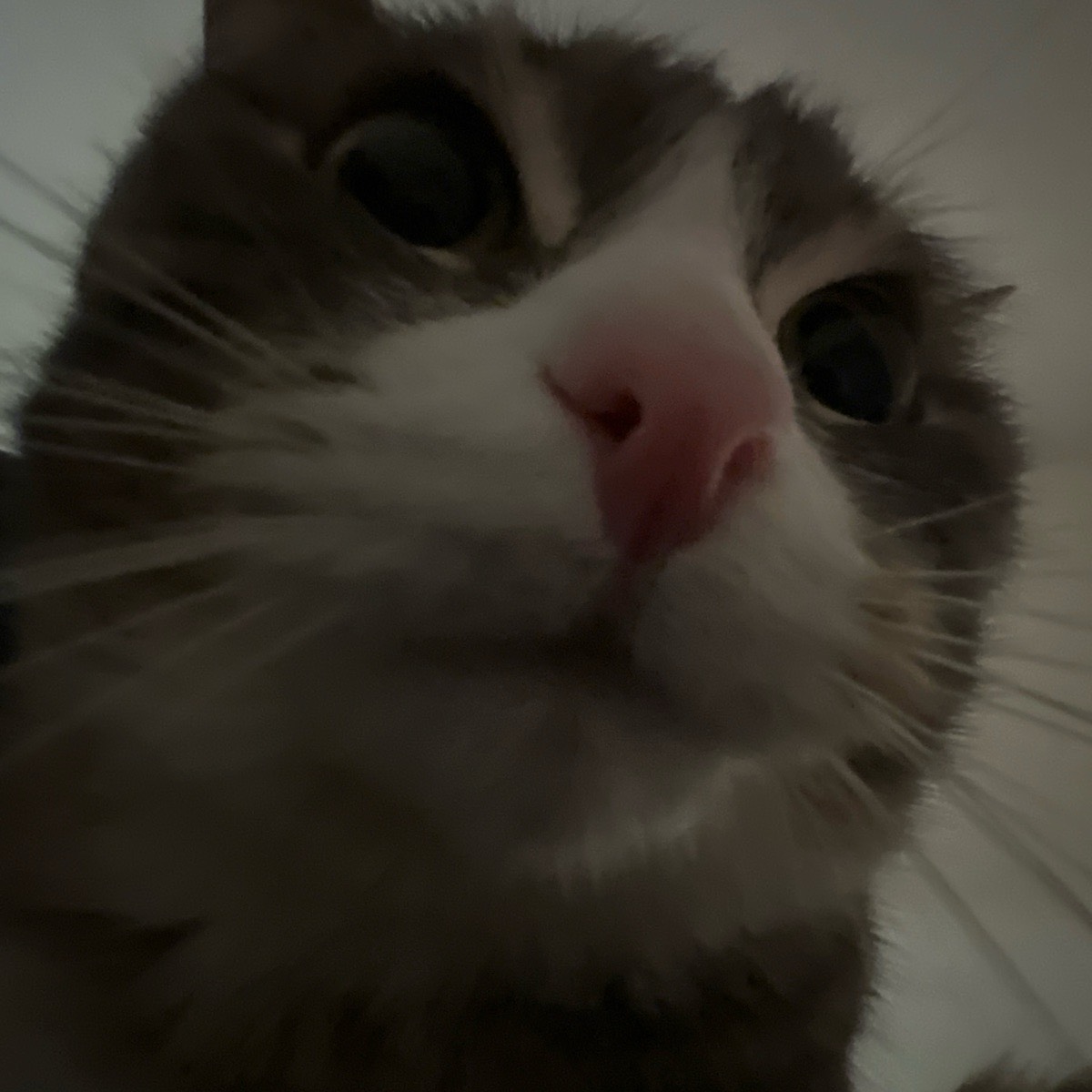 Николай Мин | Сетка — социальная сеть от hh.ru