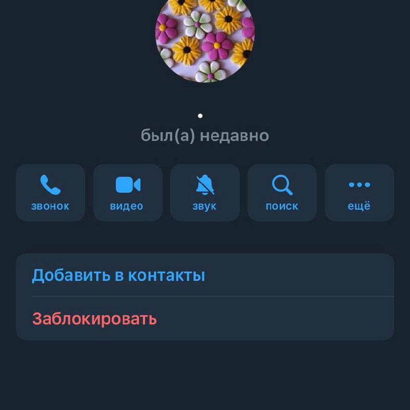 🥲Как отличить обычного пользователя от бота
Найди несколько отличий.
Тут все видно без подсказок. И с 99% можно судить, что на скринах именно фейковые аккаунты, которые могут подписаться на ваш канал | Сетка — социальная сеть от hh.ru