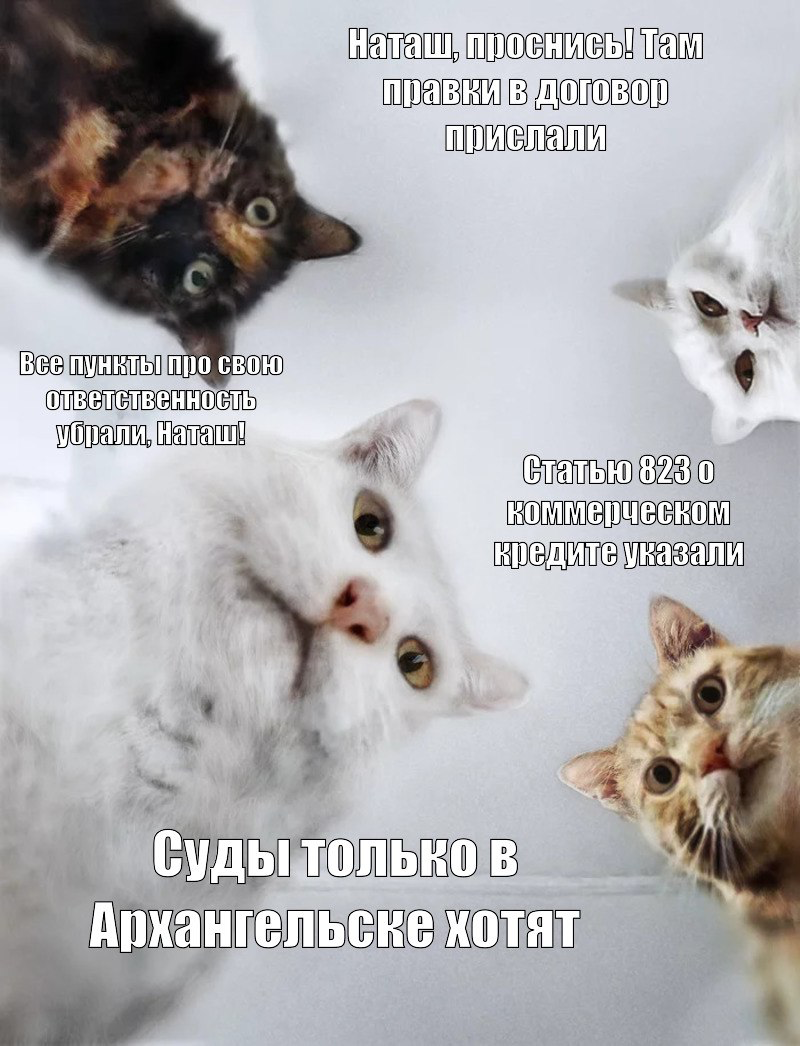 А какие нелепые условия вам попадались в договорах? | Сетка — социальная сеть от hh.ru