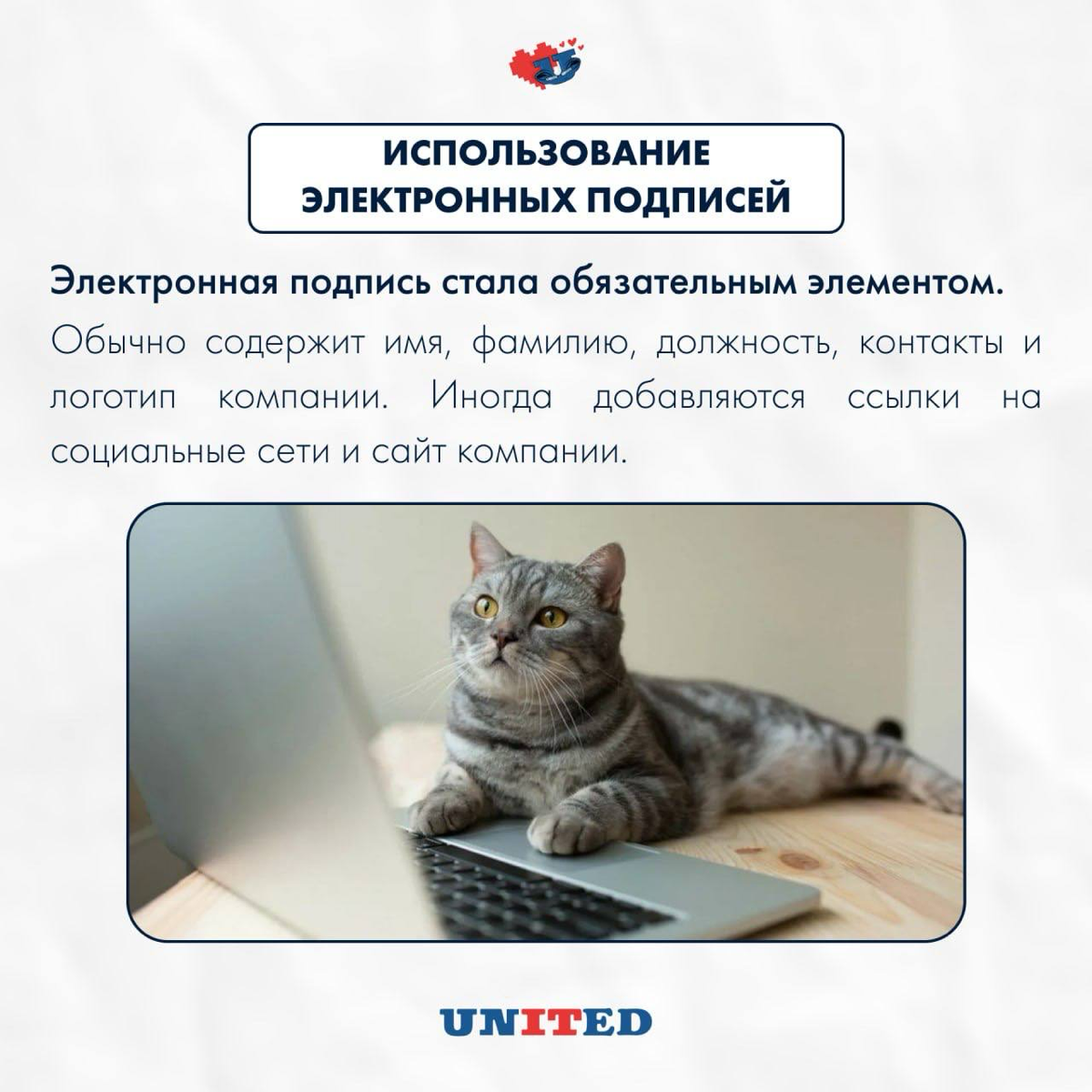 Что изменилось в деловой переписке?
Под влиянием цифровых технологий этикет деловой переписки претерпел некоторые изменения. Листайте картинки ✨
Какие изменения заметили? Пишите в комментариях 💗 | Сетка — социальная сеть от hh.ru
