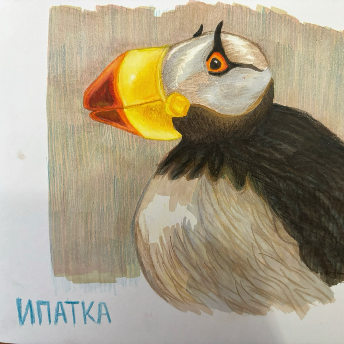 Набросок милой ипатки маркерами и карандашами. Они из очень забавного отряда ржанкообразных | Сетка — социальная сеть от hh.ru
