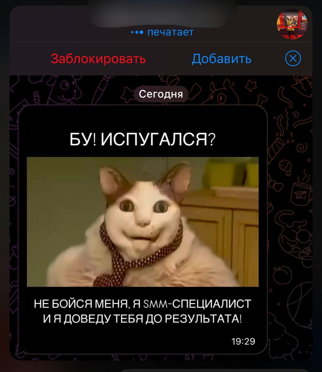 Бывают и такие отклики на вакансии😂
Как считаете, заход с мемов - это креативно или перебор?🤔 | Сетка — социальная сеть от hh.ru