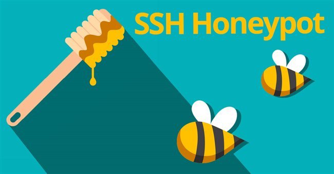 https://github.com/cowrie/cowrie
https://github.com/jaksi/sshesame
https://github.com/mushorg/glutton
https://github.com/regit/pshitt
https://github.com/droberson/ssh-honeypot
https://github | Сетка — социальная сеть от hh.ru