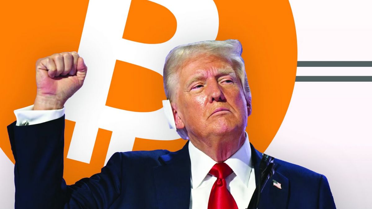 Потерявший биткоины на $795,2 млн британец попросил помощи у Трампа | Сетка — социальная сеть от hh.ru