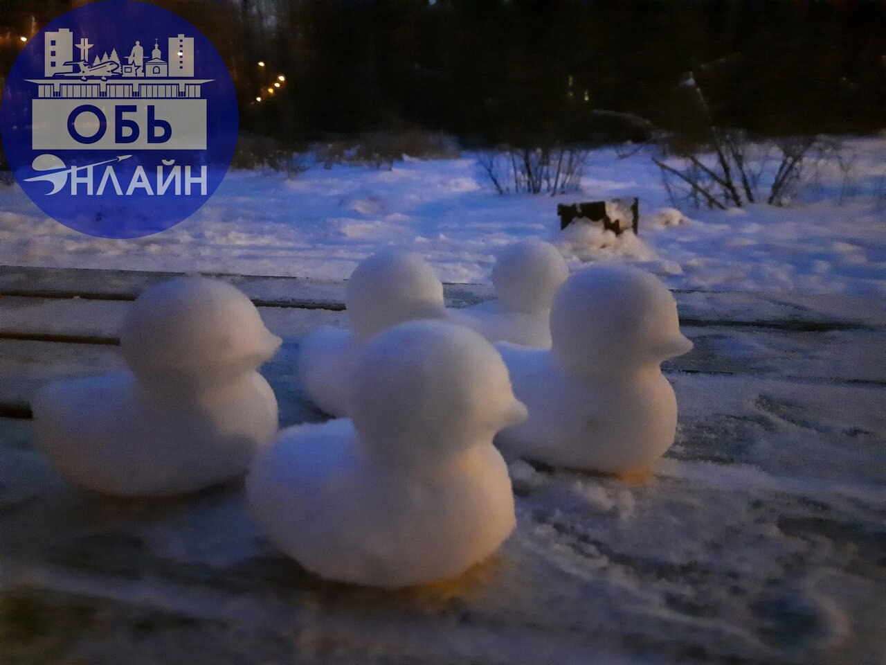 ↗ Фото дня: снежные уточки в экопарке
vk.com
Подробнее на https://vk.com/ob.gorod
#городобь #городобьонлайн #толмачево | Сетка — социальная сеть от hh.ru