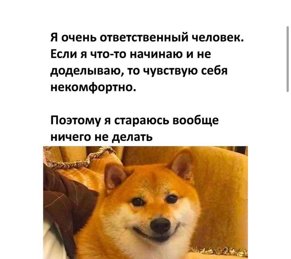 Психологическое состояние наших сотрудников крайне важно, поэтому выдохните и чуток отвлекитесь на мемы 😮‍💨🫂 | Сетка — социальная сеть от hh.ru