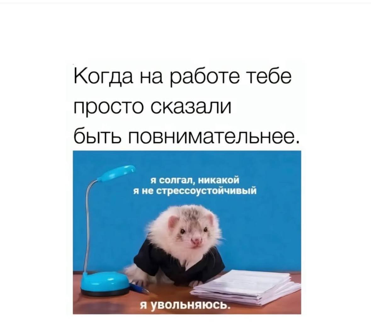 Психологическое состояние наших сотрудников крайне важно, поэтому выдохните и чуток отвлекитесь на мемы 😮‍💨🫂 | Сетка — социальная сеть от hh.ru