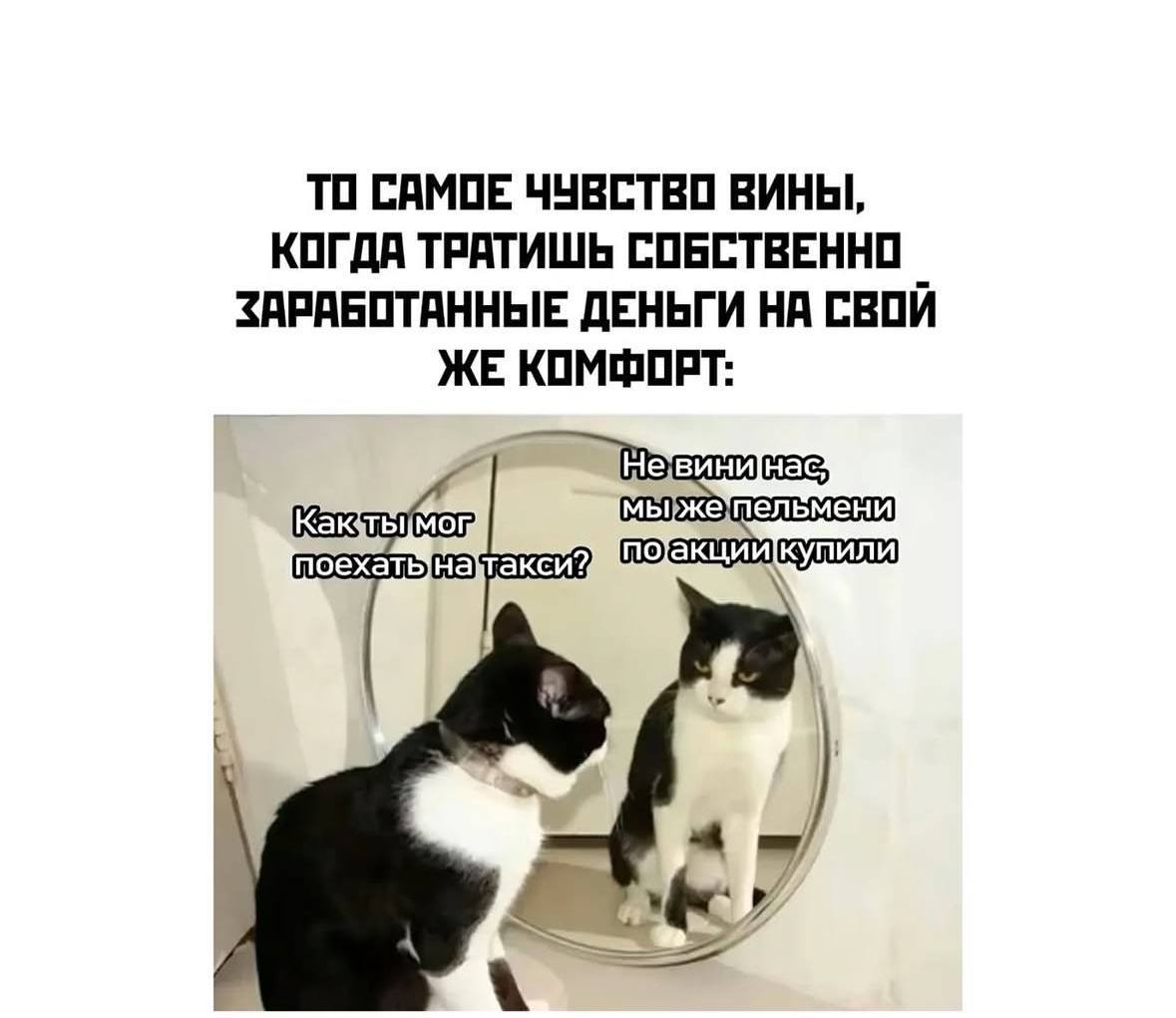 Психологическое состояние наших сотрудников крайне важно, поэтому выдохните и чуток отвлекитесь на мемы 😮‍💨🫂 | Сетка — социальная сеть от hh.ru