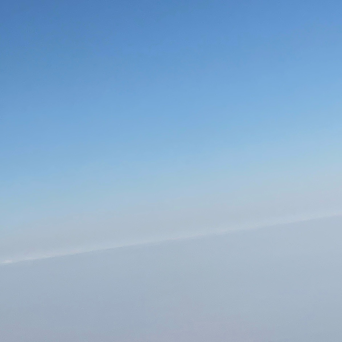 Ольга Шлеина