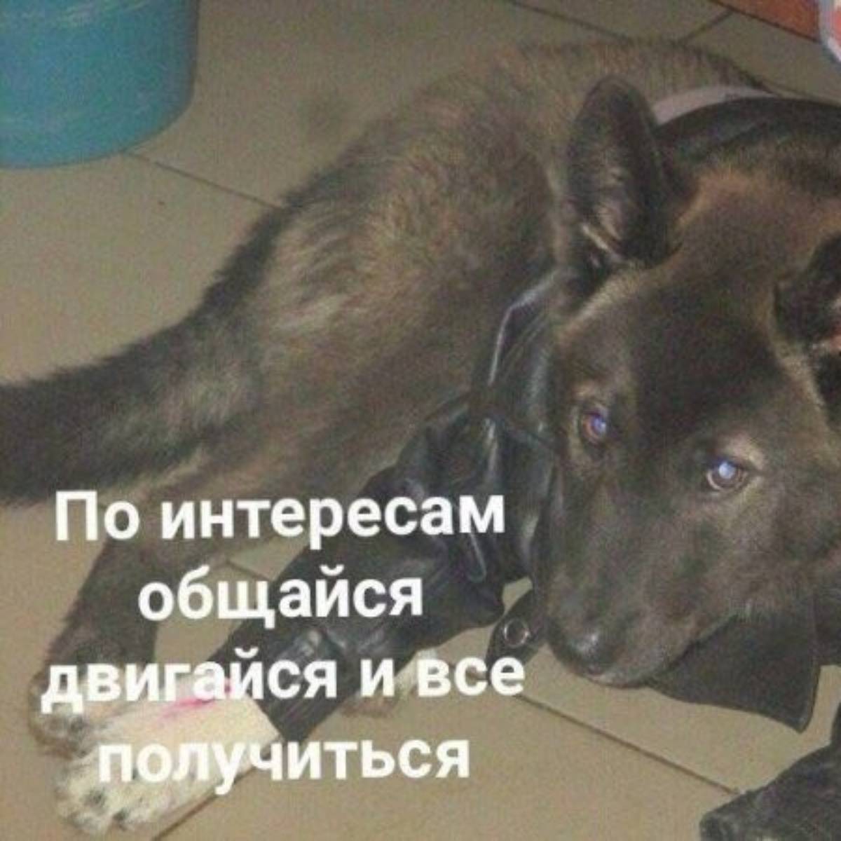 Антон Хромов